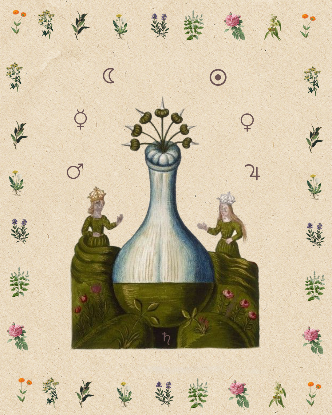 El Sendero de la Herbalista Mágica