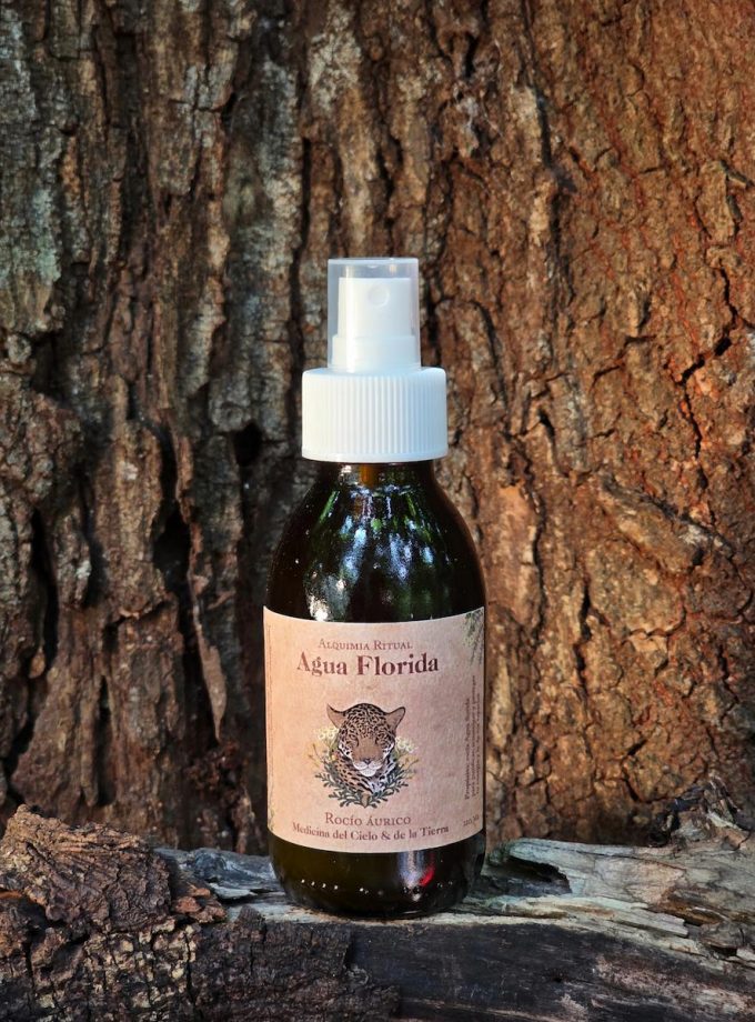 ❈ Tienda ❈ AGUA FLORIDA 120 ML