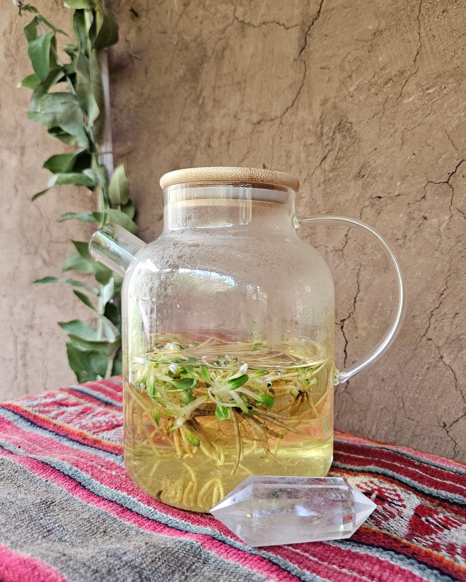 Herbolaria cusqueña